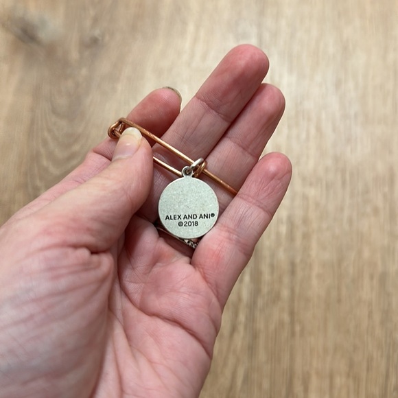 ALEX AND ANI | Bundle of Winter Charm Bracelets - Picture 3 of 5